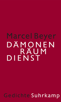 Cover Dämonenräumdienst
