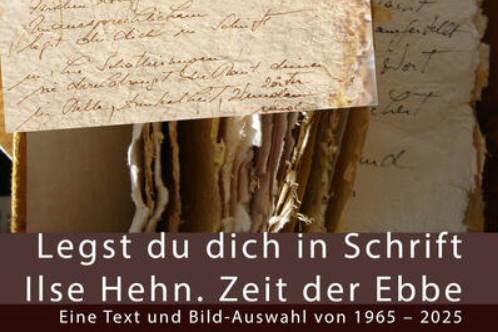 Buchcover "Legst du dich in Schrift"