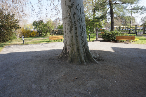Bild des Gartens