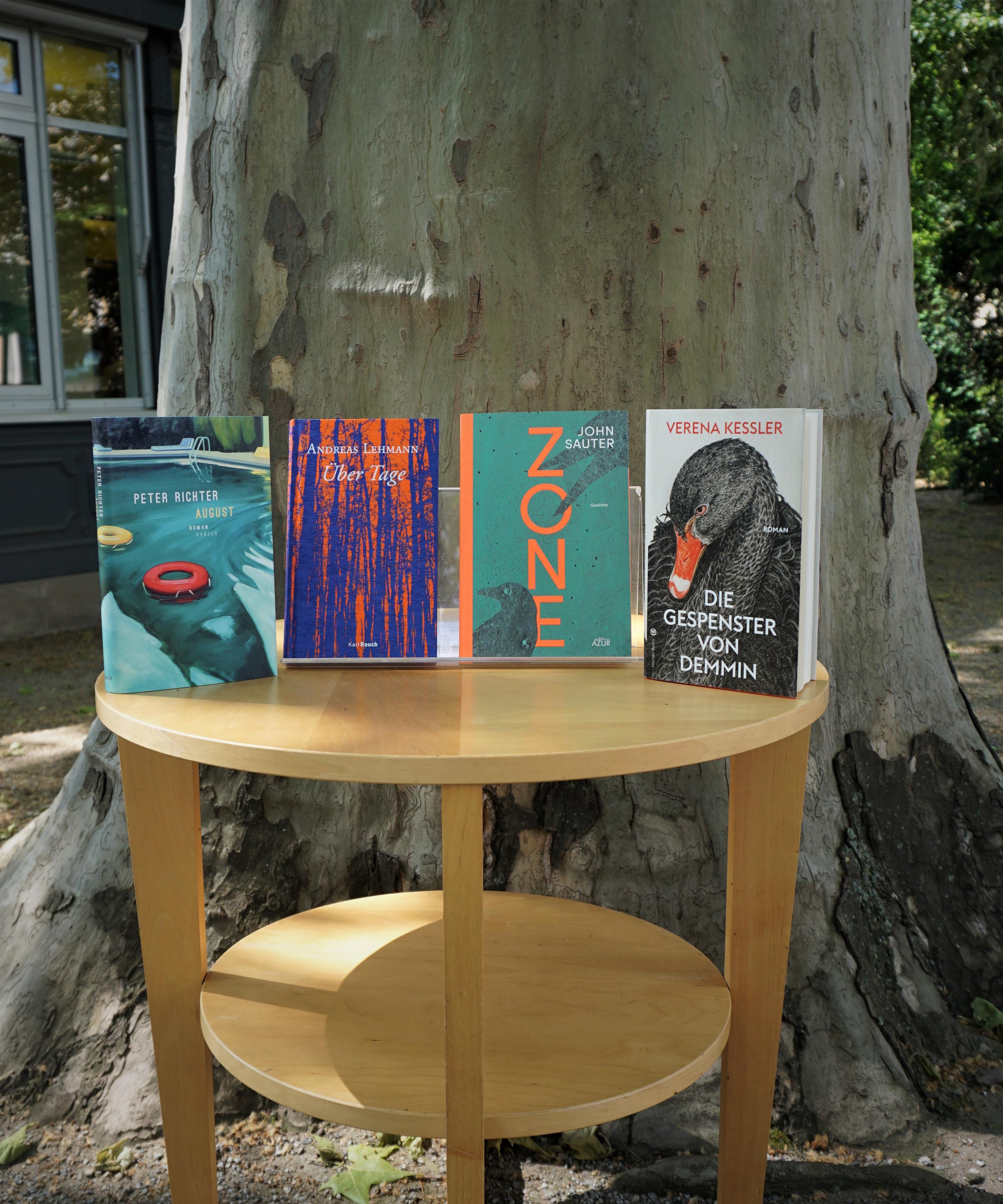 Bücher auf einem Tisch im Garten