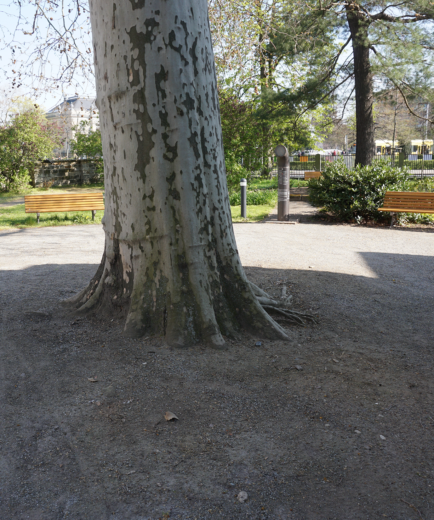 Bild des Gartens